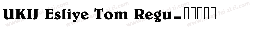 UKIJ Esliye Tom Regu字体转换